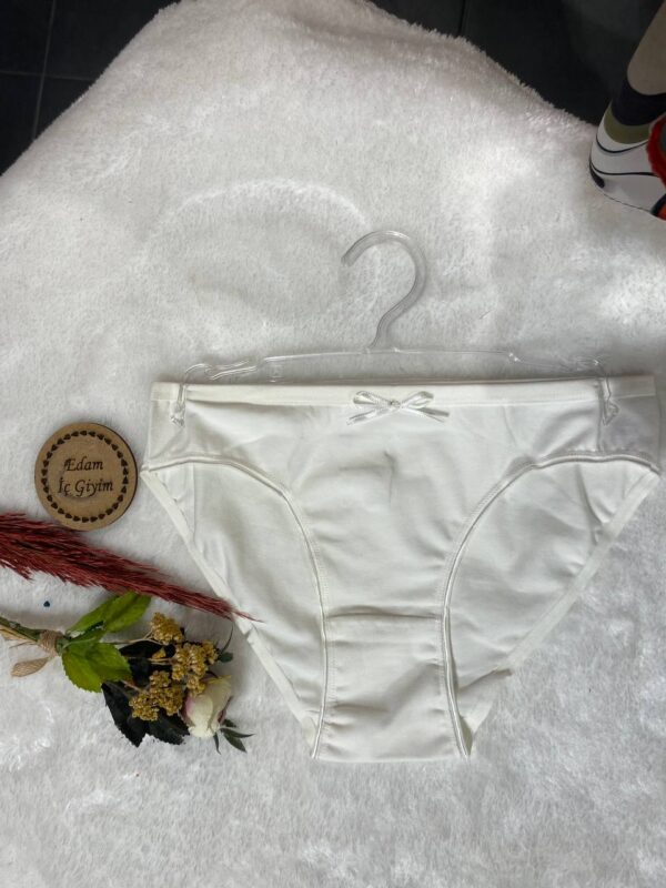 Sade Pamuklu Kumaş Bikini Kadın Külot