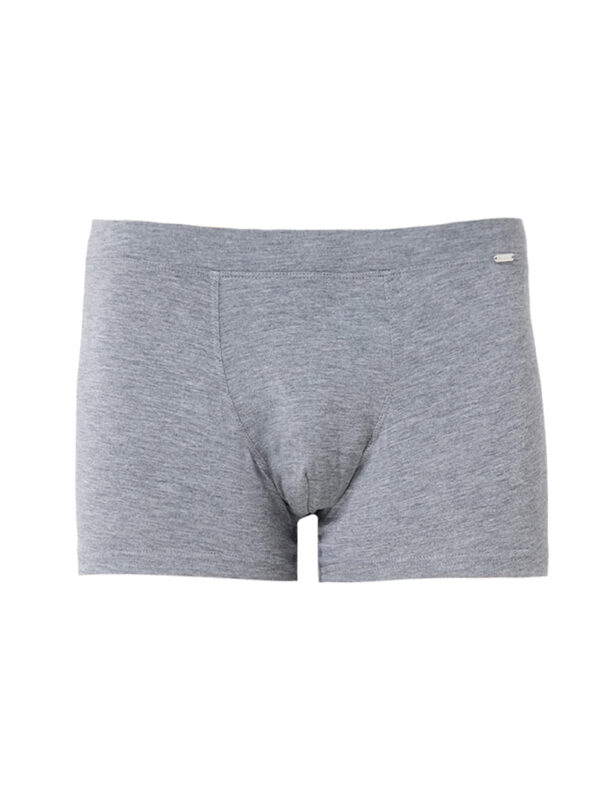 Silver Modal Boxer
